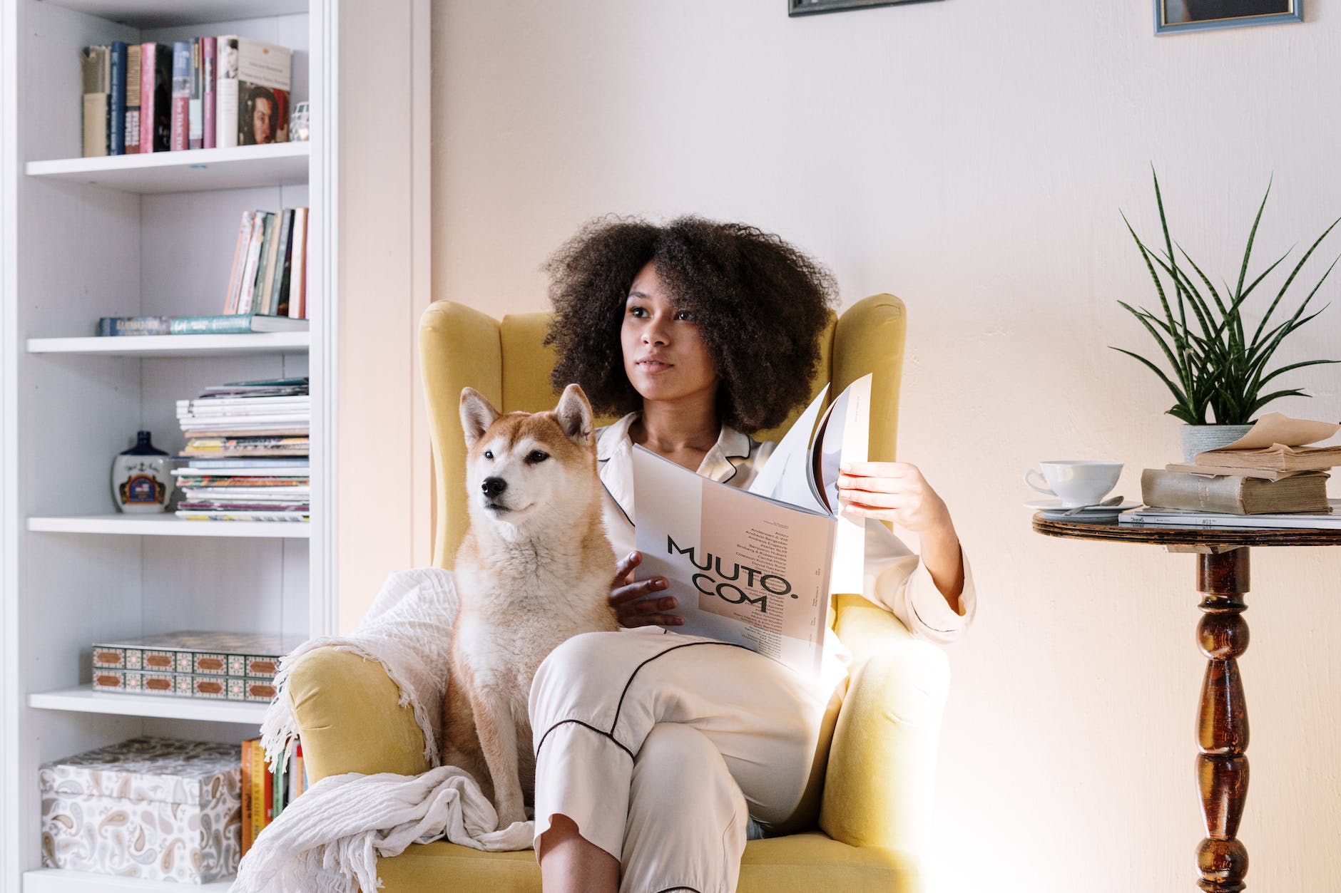 New Dog Owner Essentials: How to prepare your home for a new pet
